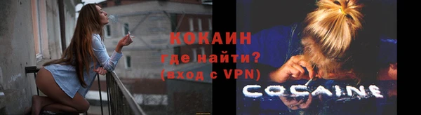 индика Протвино